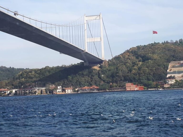 Istanbul: Full-Day City Tour with Bosphorus Cruise and Lunch