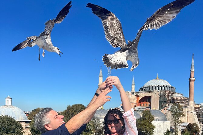 Istanbul Historical Wonders FullDay Private Guided City Tour - The Practicalities and Experience