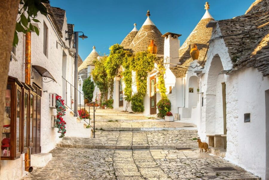 Itria Valley Tour, Alberobello, Ostuni, Cisternino, Locorotondo - Detailed Breakdown of the Itinerary