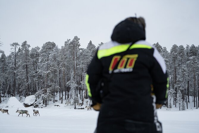 Ivalo: A Day in the Life of Reindeer Herders - The Itinerary: A Detailed Breakdown