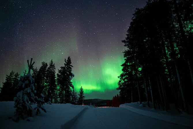 Ivalo: Aurora Hunting with Reindeer - The Experience: What to Expect During the Tour