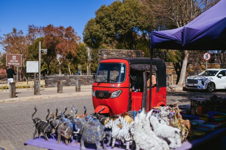 Johannesburg: Soweto Tour by Tuk Tuk