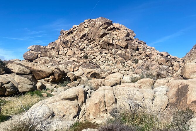 Joshua Tree Natural Wonders Walk: Plants, Animals and Rocks - Good To Know