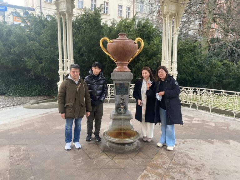Karlovy Vary: Mineral Hot Springs Tasting and Walking Tour