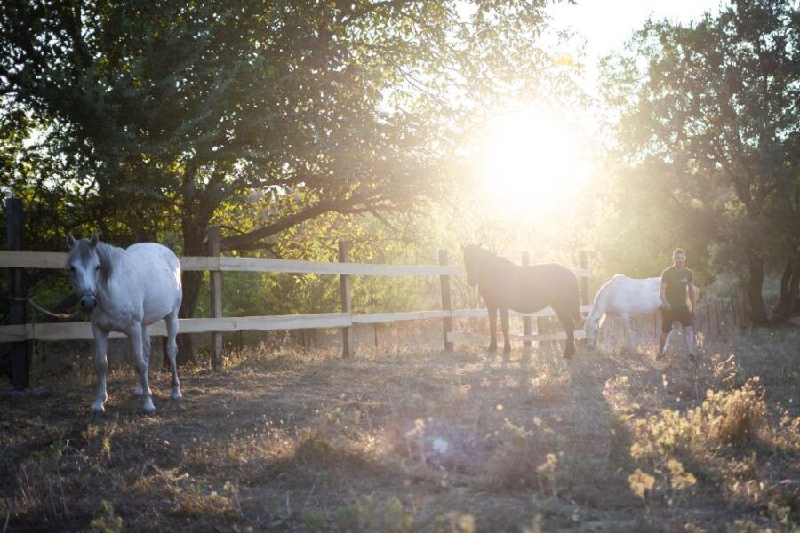 Kastraki: Meteora Sunset Horseback Riding - What to Expect on the Tour  