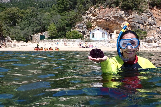 Kayak and Snorkeling Adventure in Arrabida - Exploring the Arrabida Coastline in a Kayak