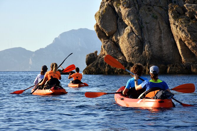 Kayak tour with aperitif and dolphins - Exploring Sardinia from a Different Angle