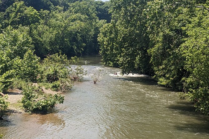 Kayaking on the Roanoke River - Why This Tour Works Well