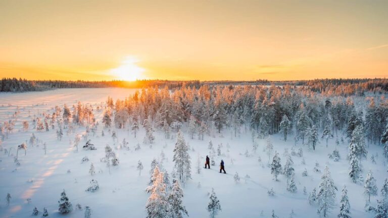 Kemi-Tornio: Nature tour with snowshoes