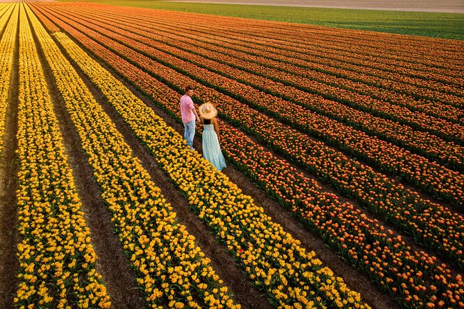 Keukenhof Tulip Garden Tour