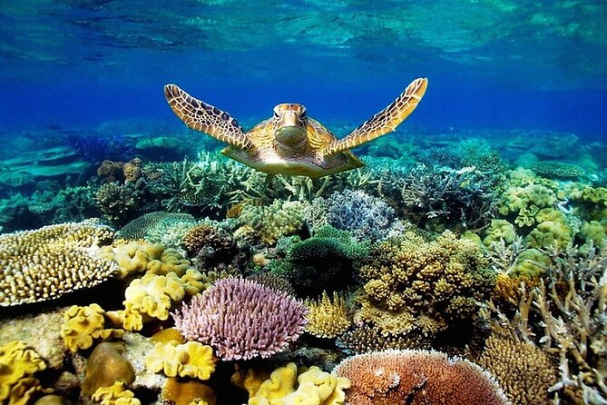 Key Largo Coral Reef Park and Sunset Celebration