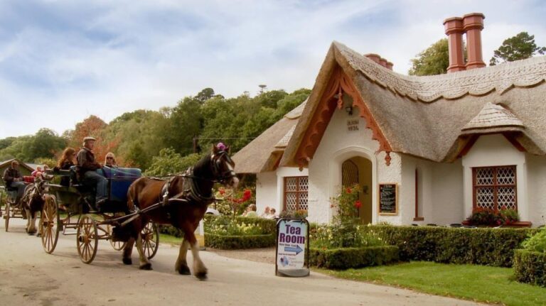 Killarney: 1-Hour Jaunting Car Horse and Carriage Tour