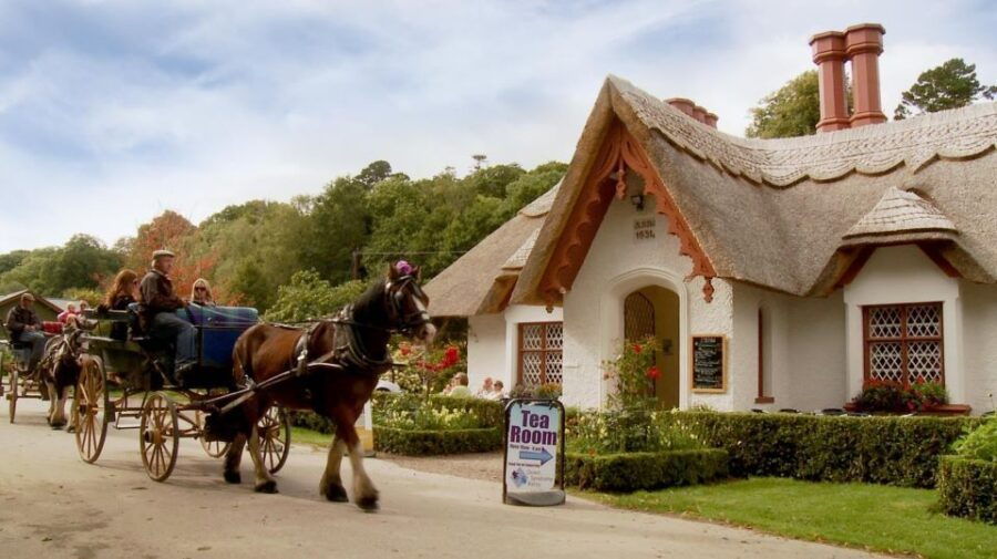Killarney: 1-Hour Jaunting Car Horse and Carriage Tour - The Classic Irish Experience in a Modern World