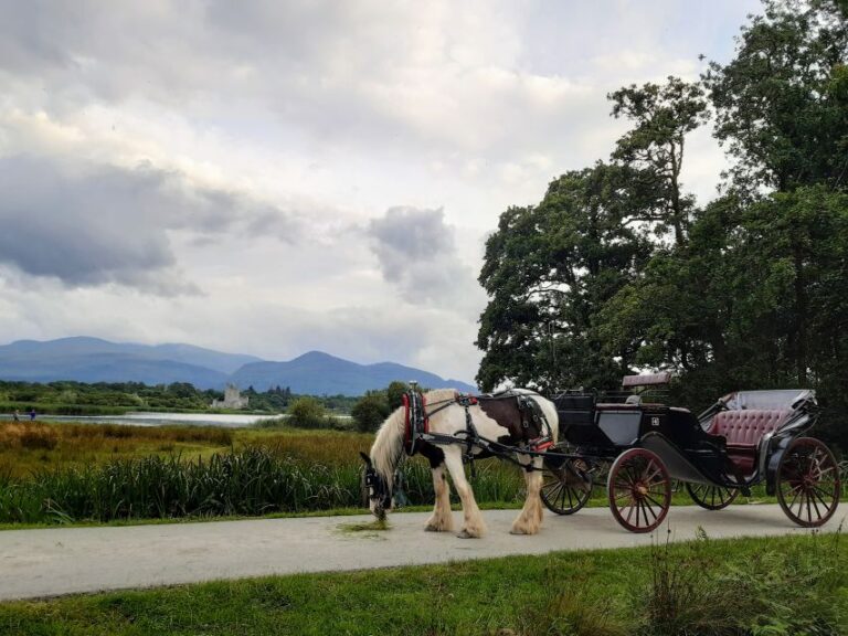 Killarney: Killarney National Park Private Tour