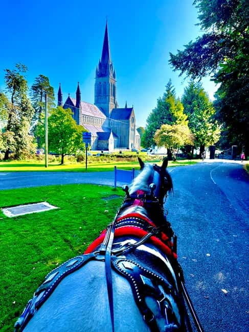 Killarney National Park Tour