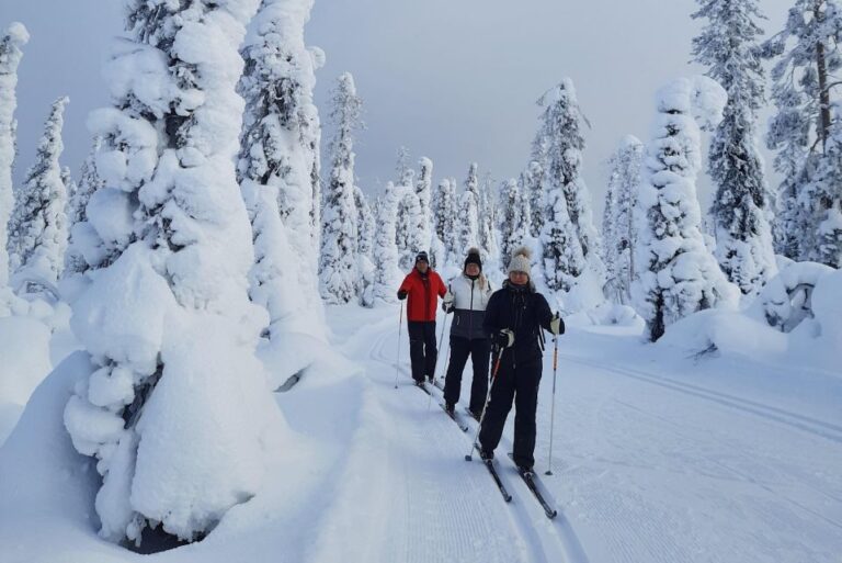 Kittilä: Lapland Levi Cross-country Skiing for Beginners