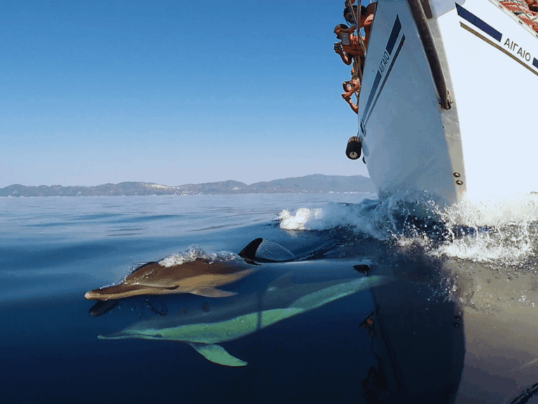 Kos: Small Group Full-Day Sailing with Meal, Drinks, & Swim
