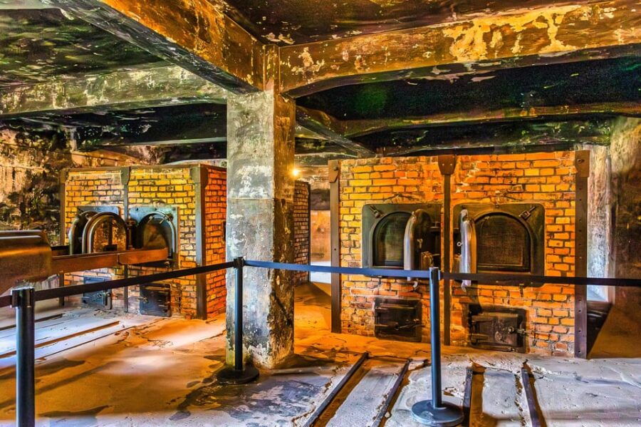 Krakow: Auschwitz-Birkenau Guided Tour and Private Transport - An In-Depth Look at the Tour Experience