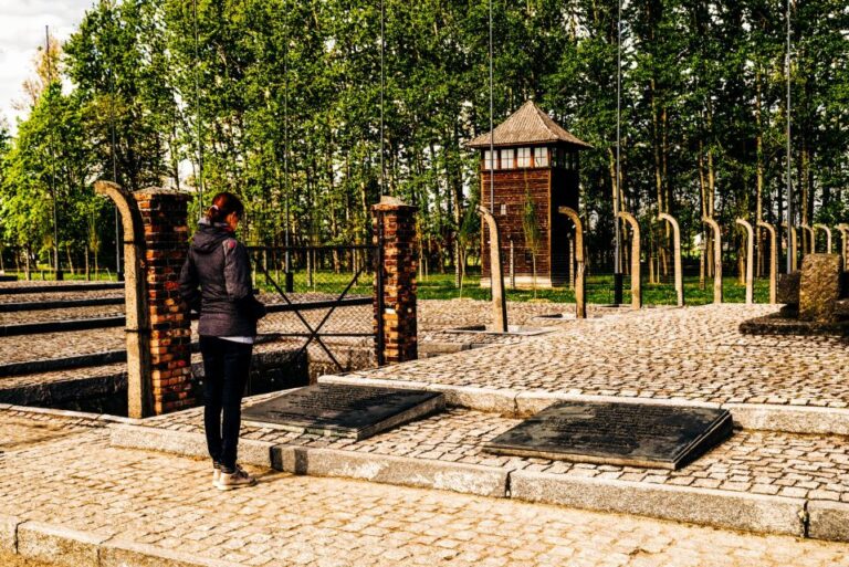 Krakow: Auschwitz-Birkenau Live Guided Tour & Hotel Pickup
