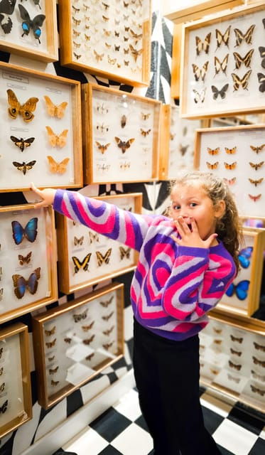 Krakow: Museum of Living Butterflies 2+1 - Authentic Perspectives from Past Visitors