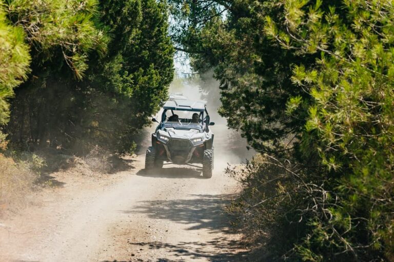 Kremasti: Rhodes 4×4 Polaris Buggy Off-Road Tour