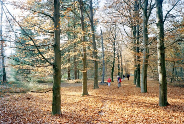 Kröller-Müller Museum Entrance Ticket