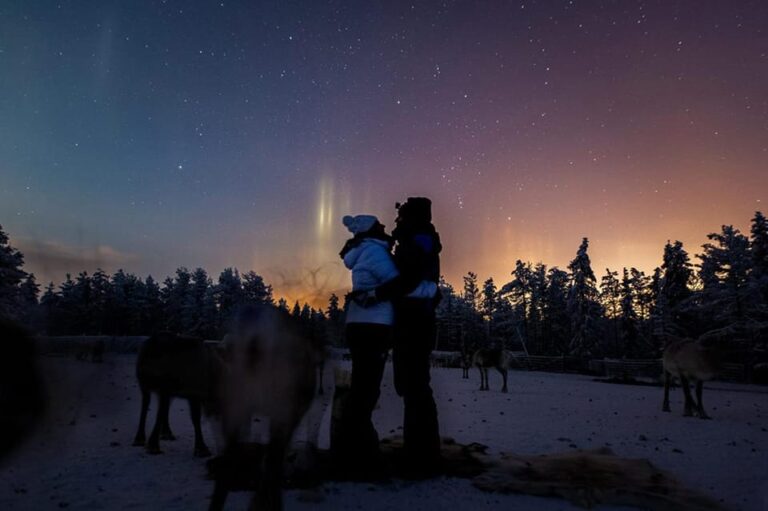 Kuusamo: Reindeer Farm Visit