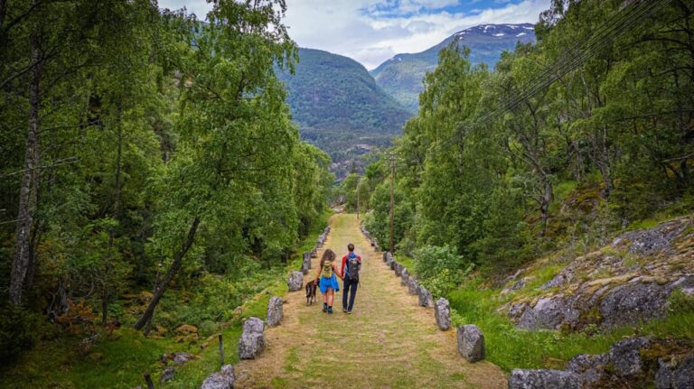 Lærdal: Guided Tour in Borgund Stave Church and Vindhella