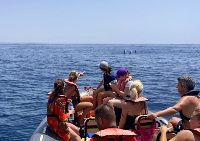 Lagoa: Dolphin Watching & Benagil Tour with Biologist Guide