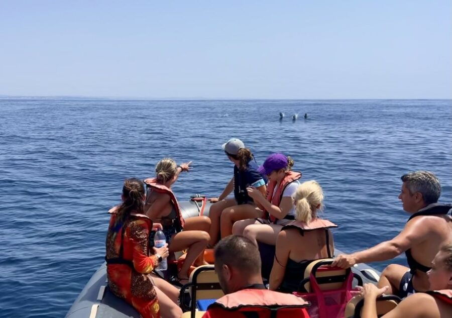 Lagoa: Dolphin Watching & Benagil Tour with Biologist Guide - What Makes This Tour Stand Out?