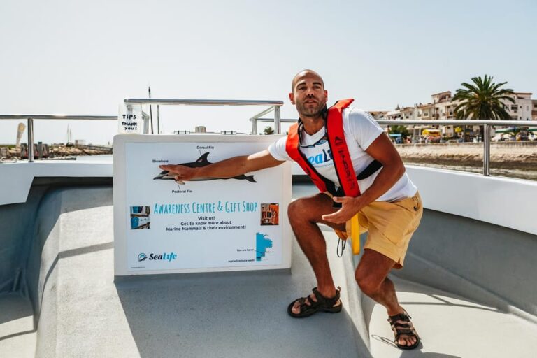 Lagos: Dolphin Watch Tour with Professional Marine Biologist