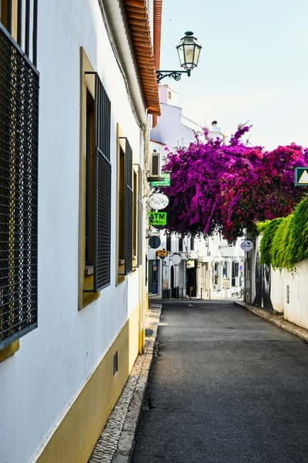 Lagos to Sagres Coastline & City Private Guided Tour - What Makes This Tour Special