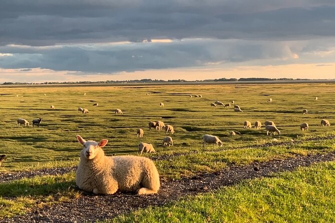Lancashire Love Artisans Food Tour with Guide - The Itinerary: A Closer Look