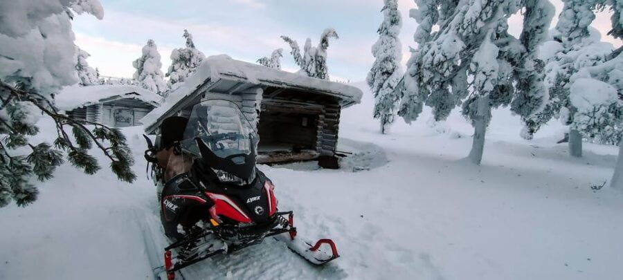 Lapland: Private VIP 7h Snowmobile Tour with Local Guide - An In-Depth Look at the Lapland Snowmobile Adventure