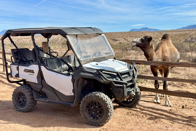 Las Vegas Zoo and UTV Tour With RT Transportation