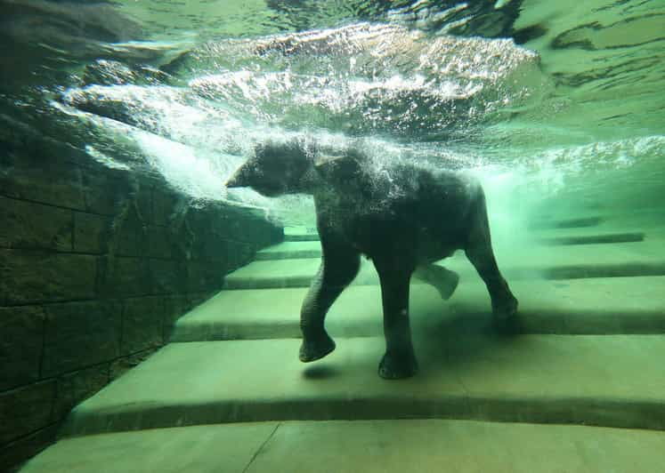 Leipzig Zoo: Entry Ticket - An In-Depth Look at Leipzig Zoo