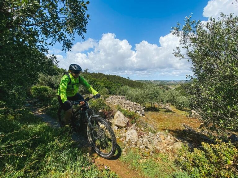 Leiria E-bike and Castel tour