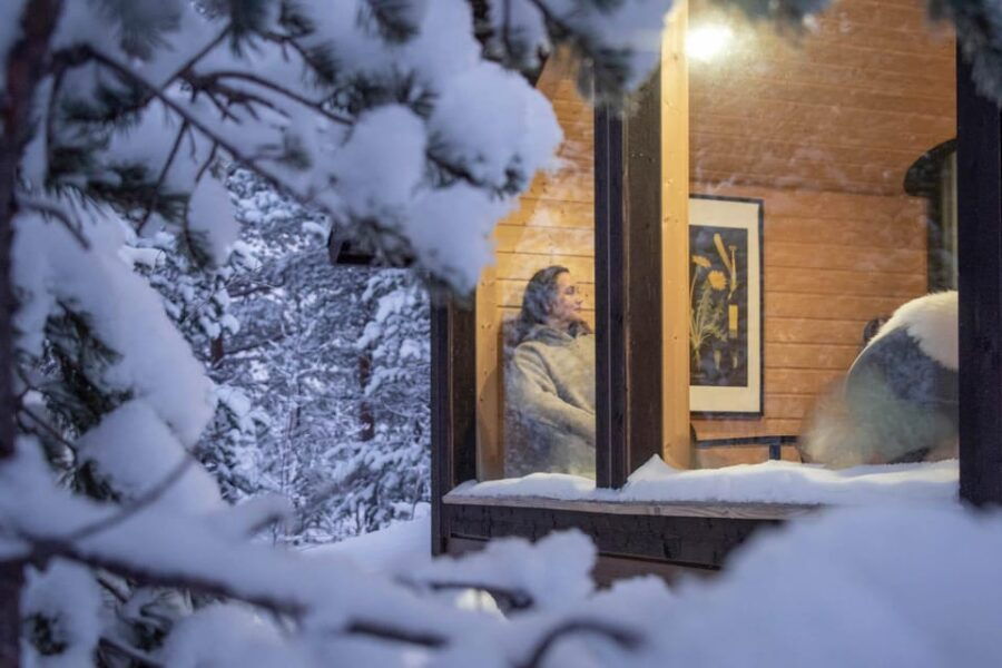 Levi: Aurora Wilderness Escape - An In-Depth Look at Levi: Aurora Wilderness Escape