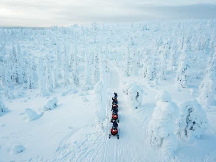 Levi: Forest Snowmobile Safari - A Detailed Look at the Levi Forest Snowmobile Safari