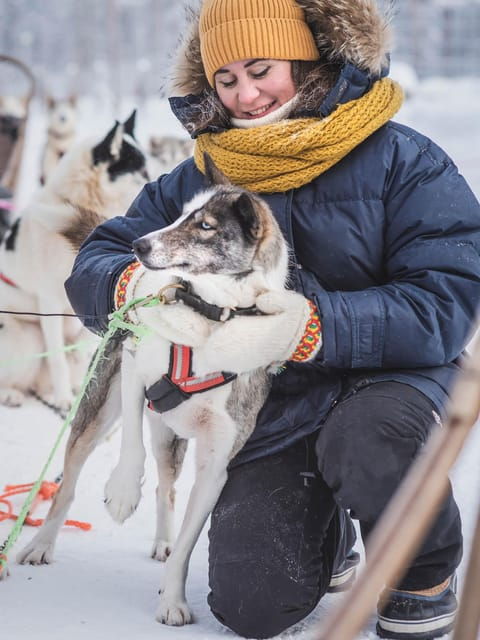 Levi: Guide-driven Husky Safari - What to Expect During the Tour
