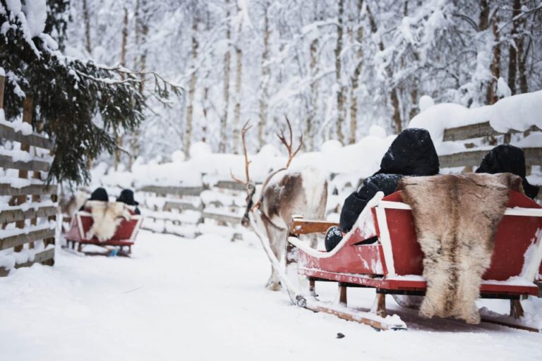 Levi: Husky and Reindeer Farm Visit with Snowmobiling