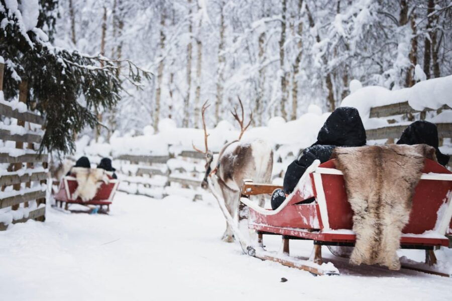 Levi: Husky and Reindeer Farm Visit with Snowmobiling - Overview of the Tour Experience