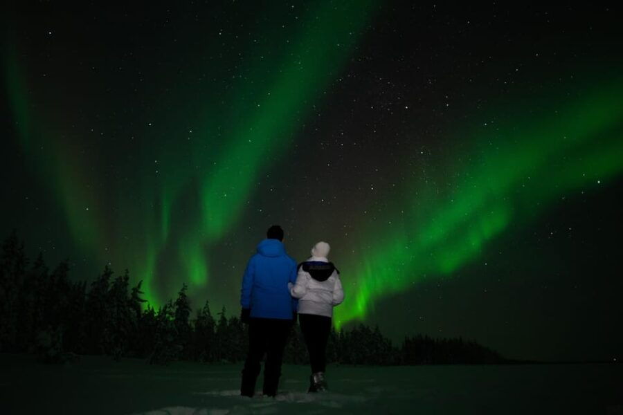 Levi: Northern Lights Sledge Ride - A Detailed Look at the Levi Northern Lights Sledge Ride