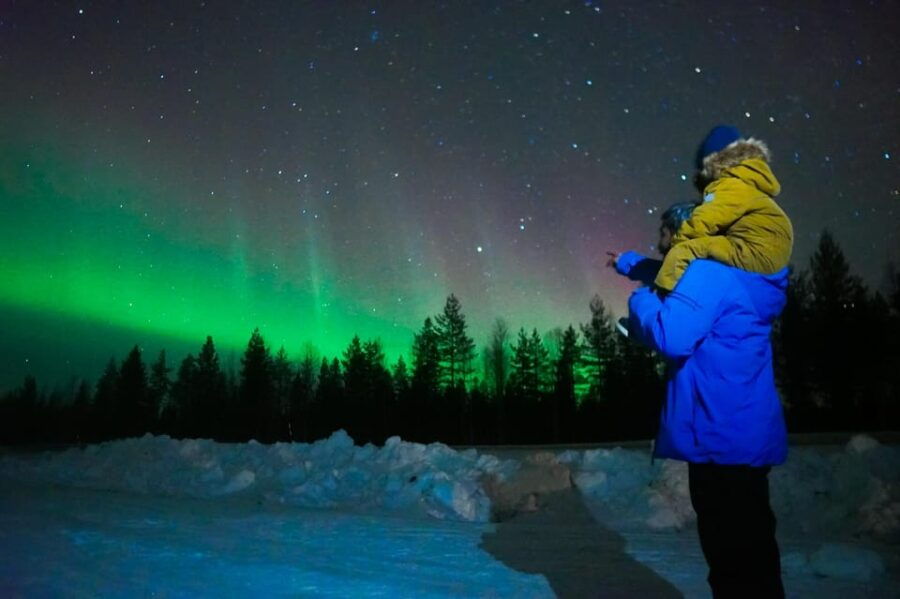 Levi: Northern Lights Tour with Guaranteed Sightings - A Deep Dive into the Experience: What to Expect from the Levi Northern Lights Tour