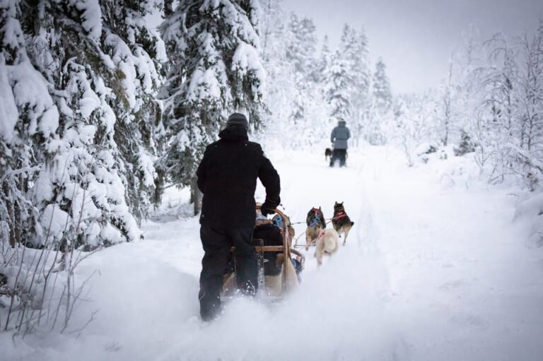 Levi: Winter Highlights Family Day