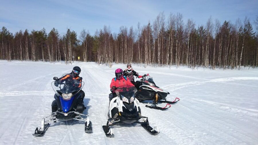Levi: Winter Highlights Tour with Snowmobiling - Setting the Scene: What’s Included and How It All Unfolds