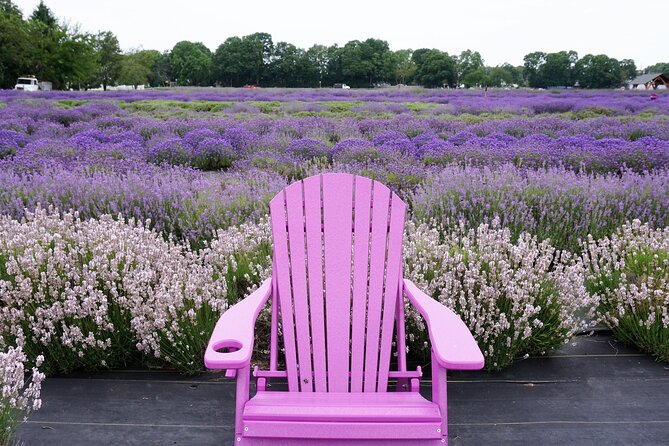 Lewin Farms, Lavender By The Bay and Tanger Outlets Full-Day Tour