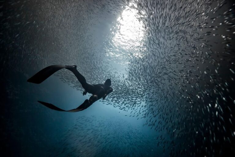Ligaria Beach: Discover Free Diving (Apnea)