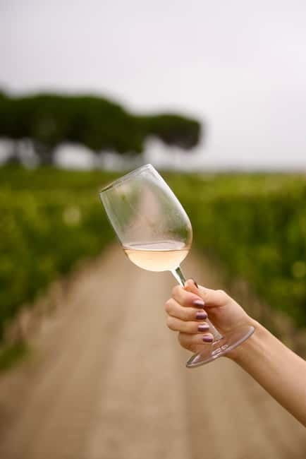 Lisbon: Full-Day Wine Tasting Tour in Setúbal ALL INCLUSIVE
