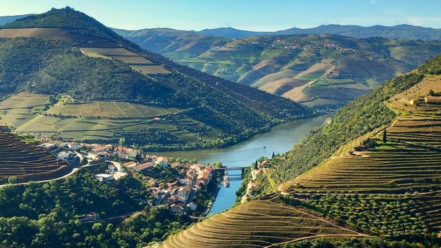 Lisbon: One Way to Douro Valley through Coimbra and Obidos - What to Expect from the Tour